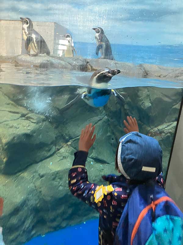 遠足