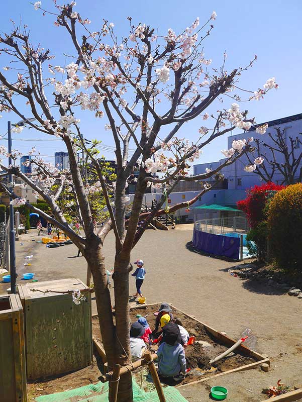 入園・進級のお祝い