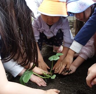 さくらのその保育園　～野菜の苗植え～