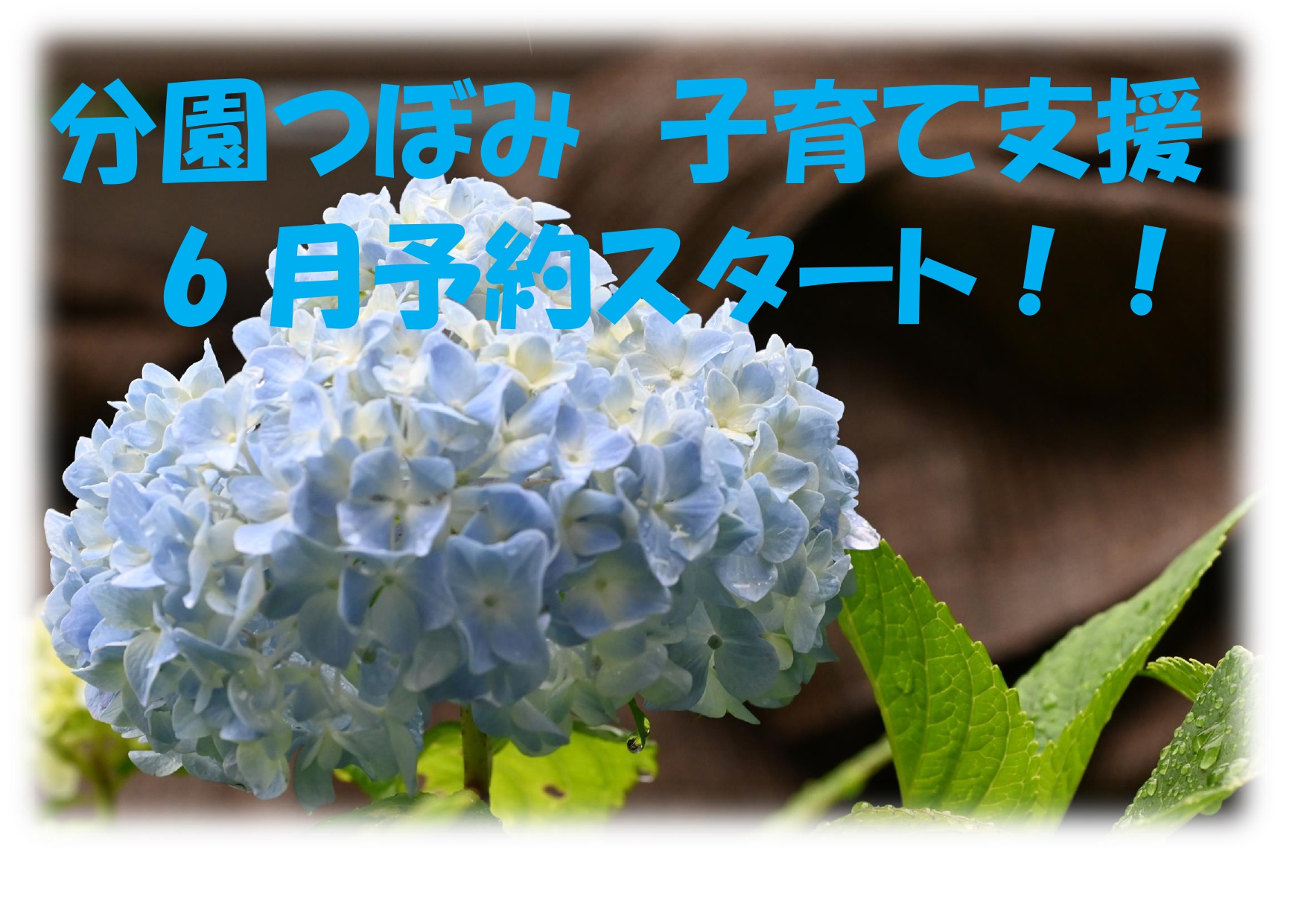 分園つぼみ　子育て支援年間予定